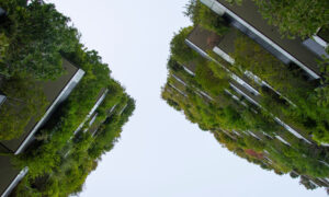 Looking up between two modern, tree-lined buildings as their greenery frames a pale sky.