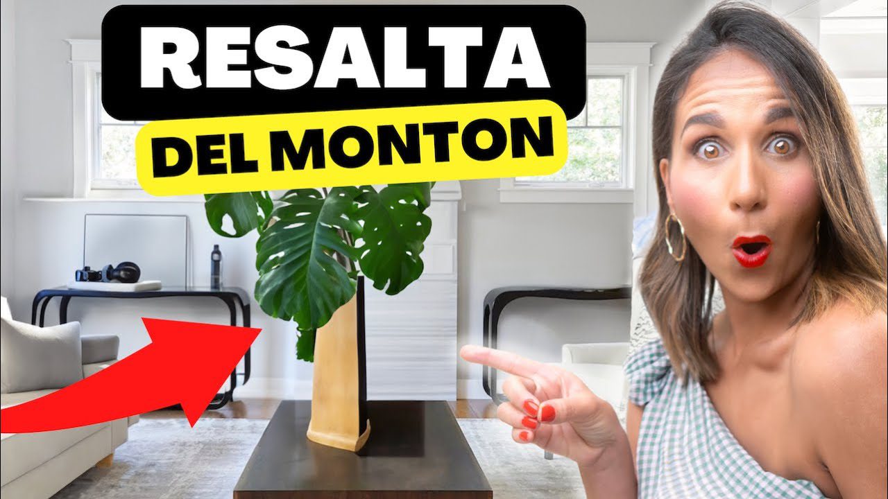 Decoración de interiores: cómo elegir los mejores accesorios decorativos