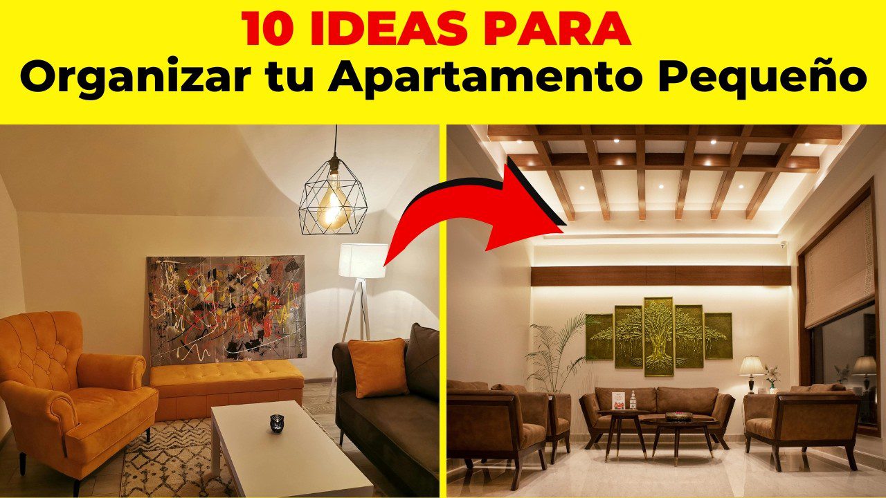 análisis detallado sobre Cómo organizar espacios con decoración funcional