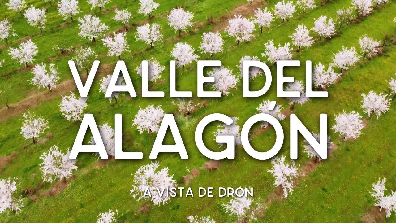 decoración en Alagón del Río