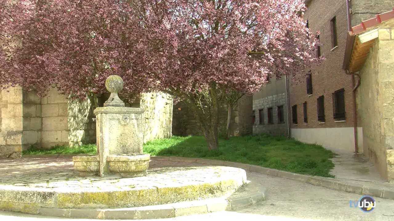 decoración en Alfoz de Quintanadueñas