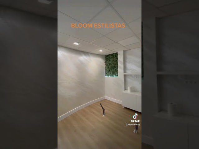 decoración en Capolat