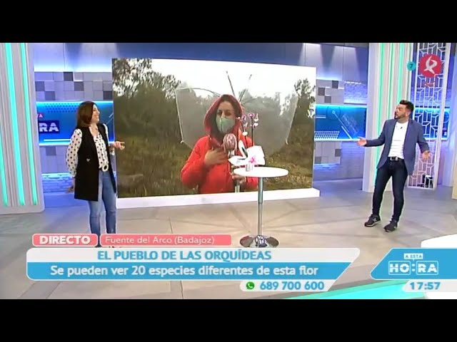 decoración en Fuente del Arco