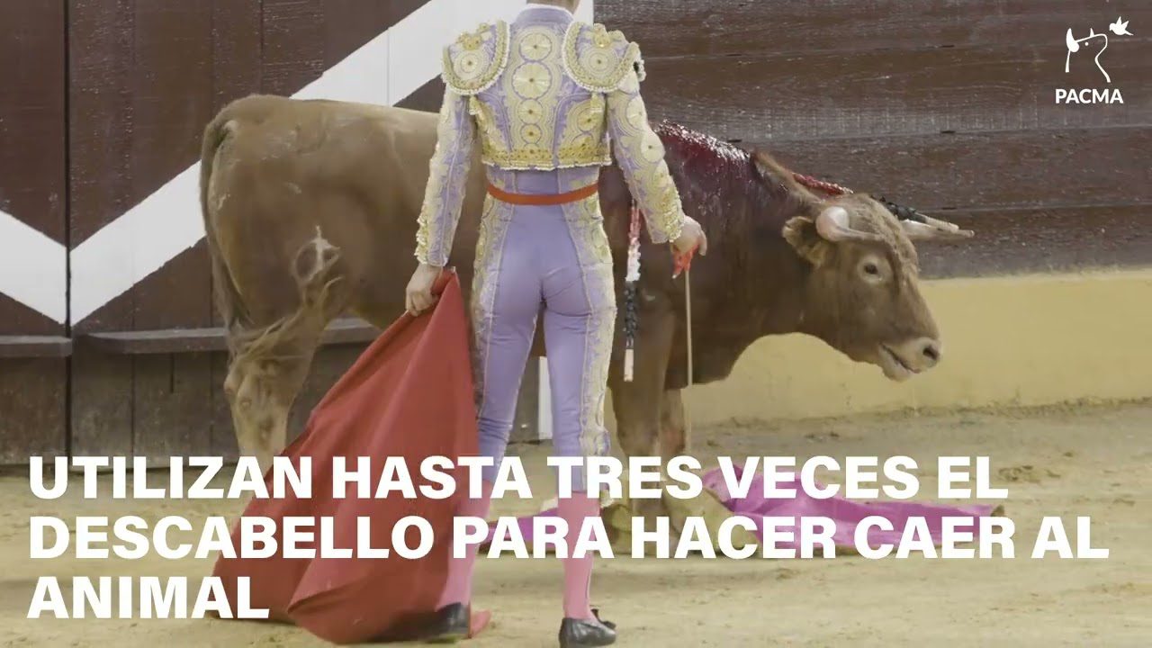 decoración en Herrera del Duque