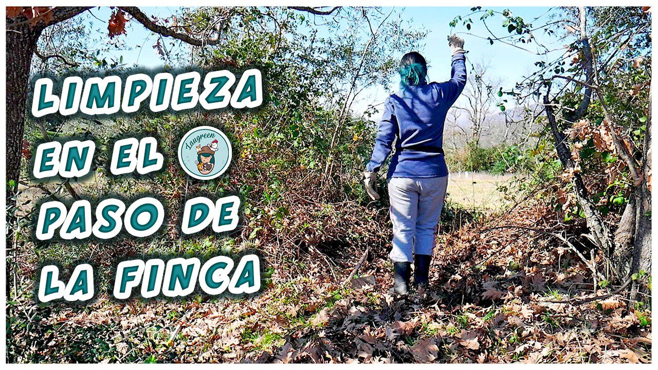 decoración en Higueras