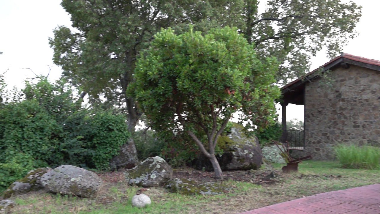 decoración en Losar de la Vera