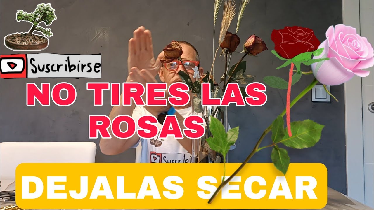 decoración en Sant Jordi