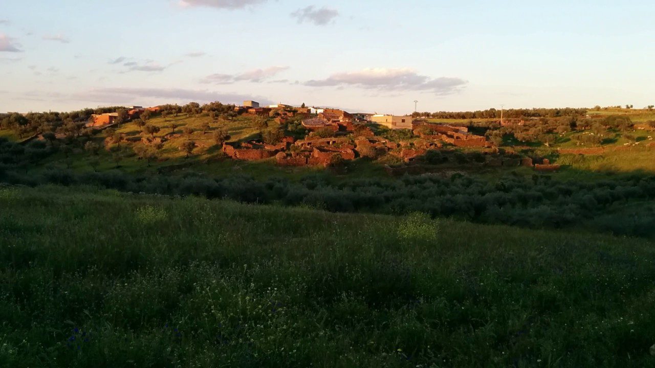 decoración en Valdelacasa de Tajo