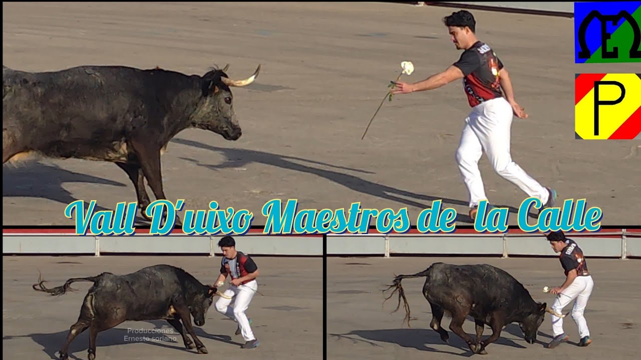 decoración en Vall d'Uixó