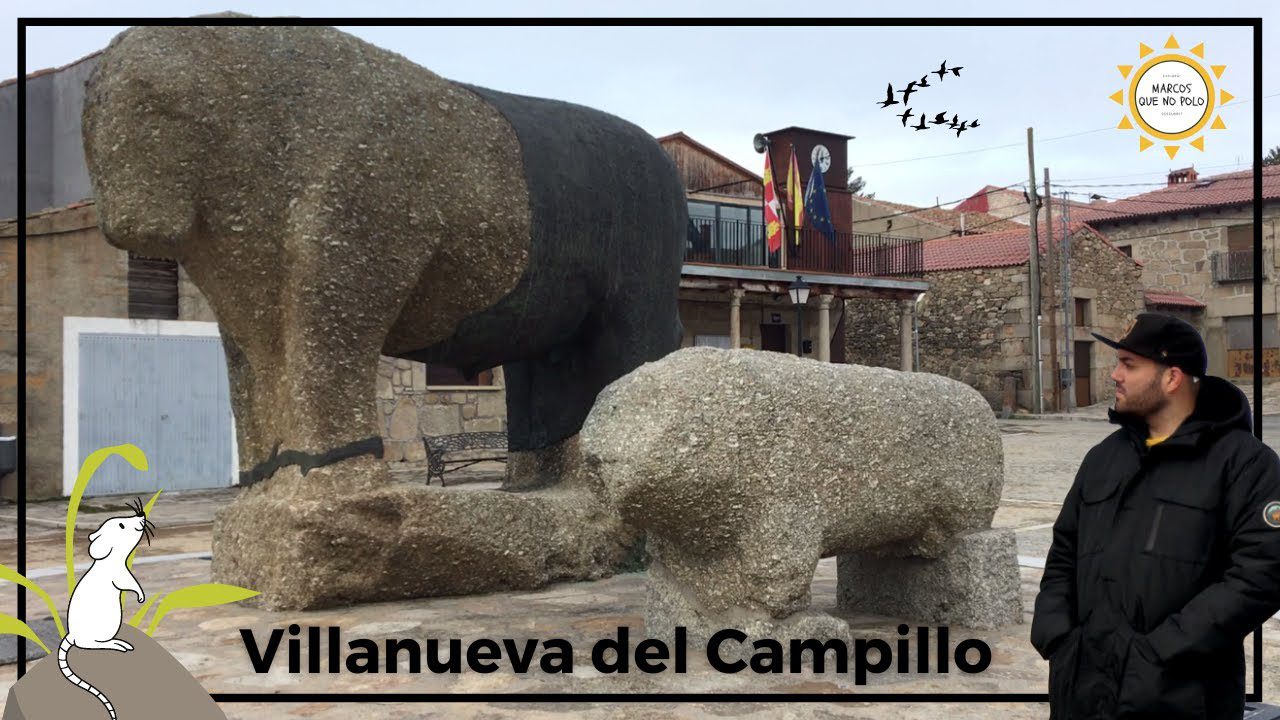 decoración en Villanueva del Campillo