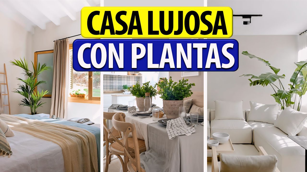 decoración en Vita