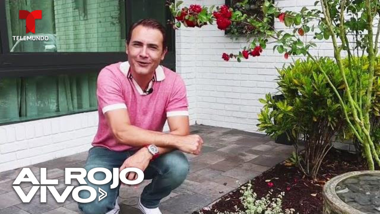 qué desafíos enfrentan los paisajistas en la actualidad Cómo renovar la decoración de tu jardín sin gastar mucho dinero
